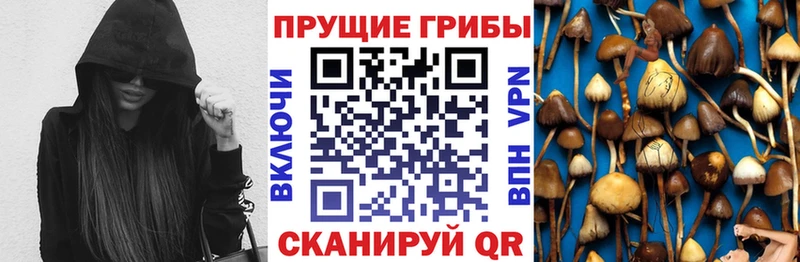 площадка клад  Кинель  Псилоцибиновые грибы ЛСД 